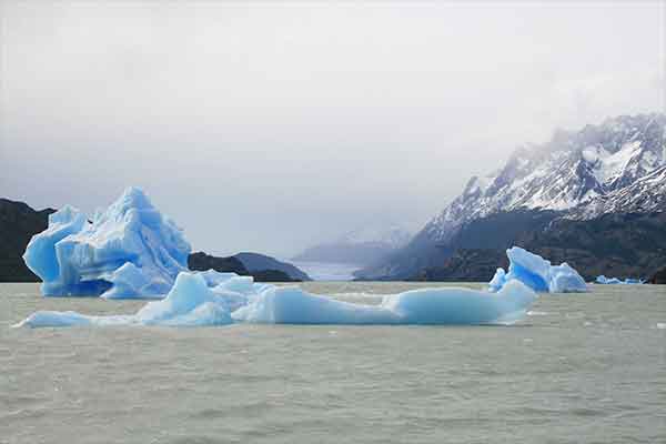 Glaciar Grey
